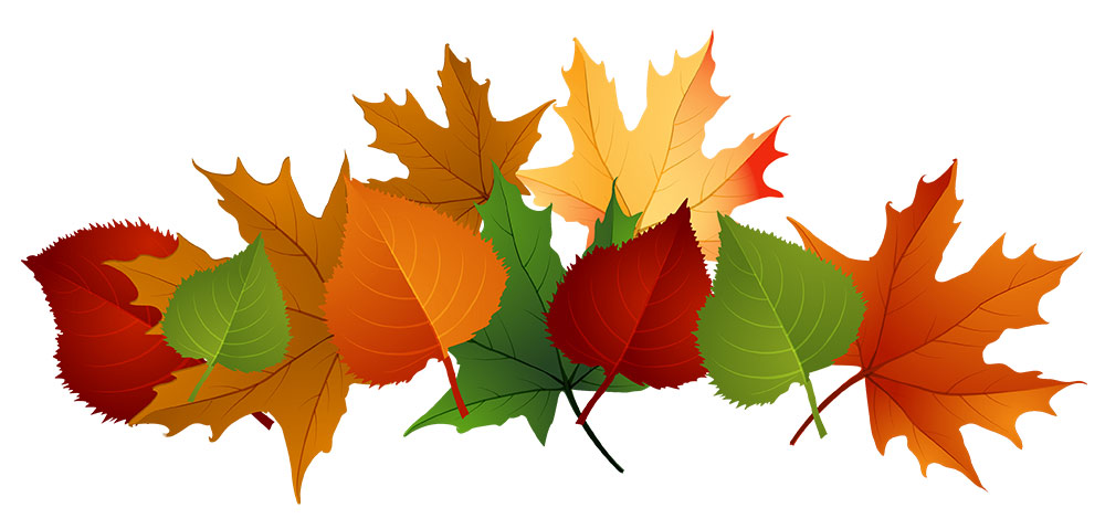 Autumn Leaves Graphic
