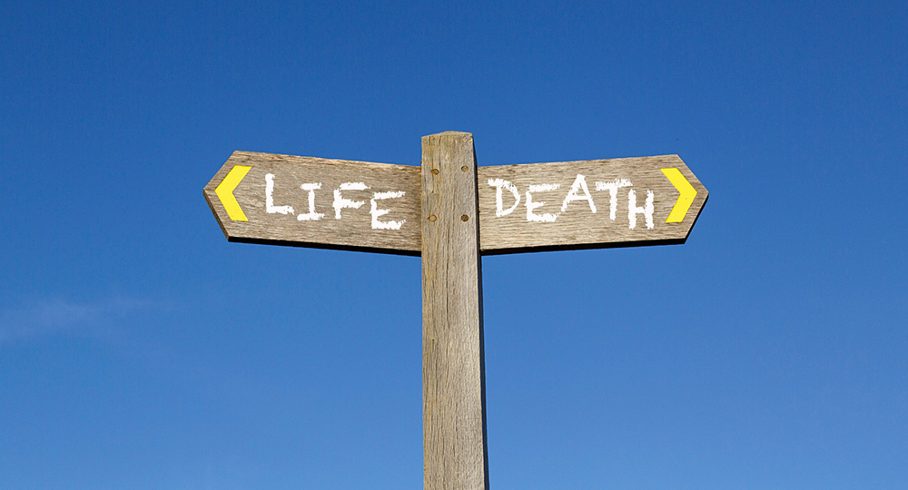 Life Death Directional Sign